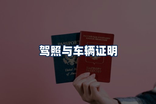 车辆证明展示